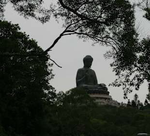 Budha auf Lantau