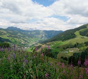 Wandern Saalbach-Hinterglemm	