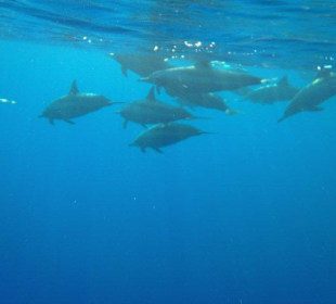 Alle Bilder an einem Tag!