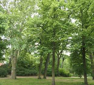 Unterwegs im Victoria-Park in Berlin Kreuzberg