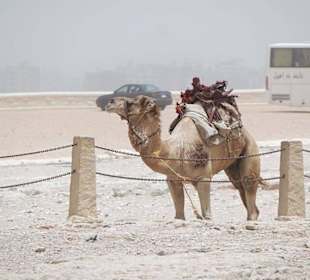 Es war sehr windig aber schön