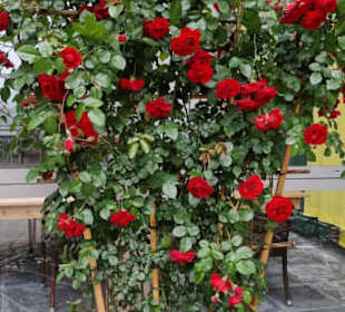 Sowas am Haus ein Traum