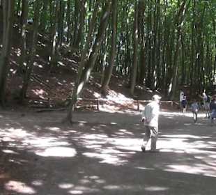 Nationalpark Jasmund