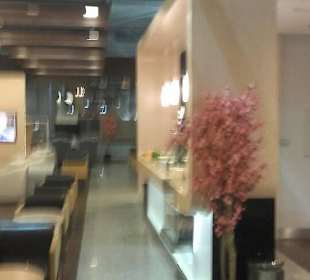 LOT POLISH AIRLINES CLUB LOUNGE