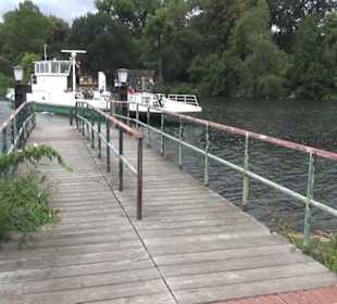 Fähre zur Pfaueninsel