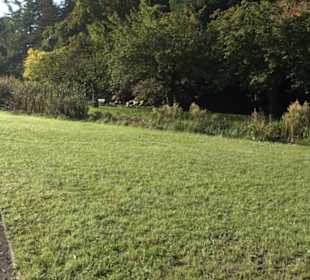 Botanischer Garten