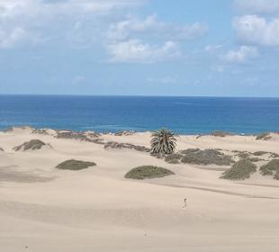 Dünen von Maspalomas