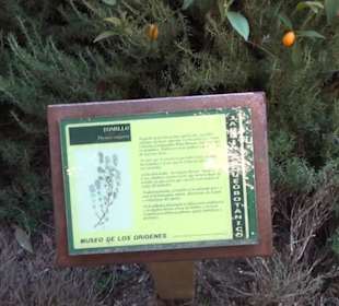 Museum de San Isidro