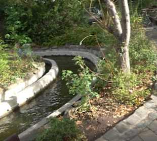 Erlebnispark Tripsdrill