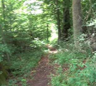 Premiumwanderweg "hochgehackert"