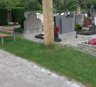 Friedhof St. Martin