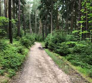 Wandern Friedrichroda