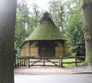 Freilichtmuseum  - altes Haus