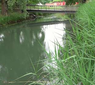 Fischlehrpfad Neu-Ulm