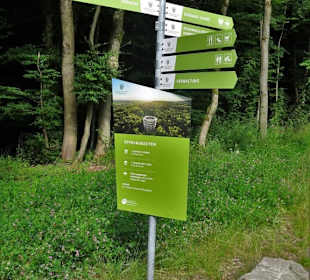 Wegweiser zu den Stationen des Baumwipfelpfades