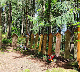 Wandern Geiersthal
