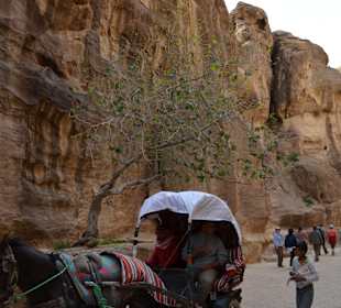 Bequemer war´s mit Kutsche