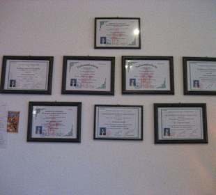 All staff  are fully qualified and certified