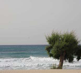 Makri Gialos