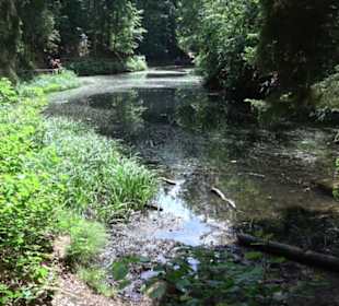 Wanderweg - Alter Steinbruch Pfaffenberg Runde