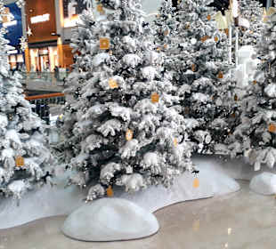 The Shoppes at Marina Bay Sands