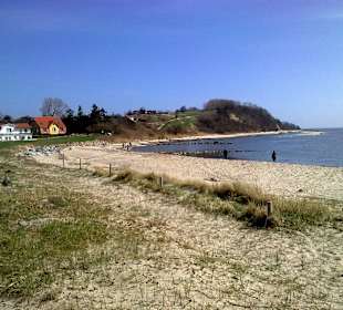 Klein Zicker am Strand
