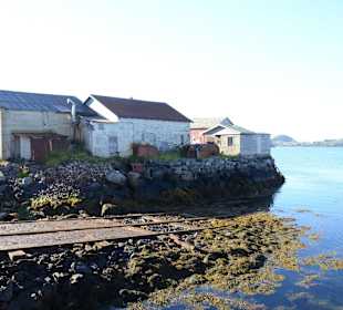 Ausflug auf den Lofoten