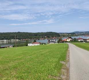 Hinunter zum Waldschacher Teich