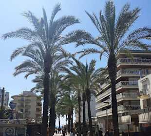 Uferpromenade Passeig de Jaumes I Salou