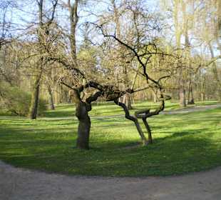 Łazienki Królewskie