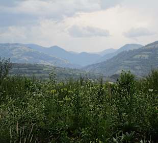 Valea Oltului / Olt-Tal 