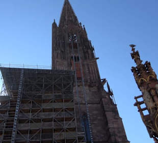Freiburger Münster