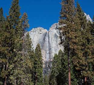 Yosemite National Park