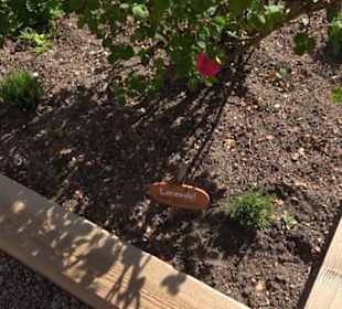 Arzneipflanzengarten Klosterreichenbach