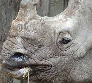 Rundgang im Tierpark