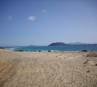 Los Lobos im Hintergrund