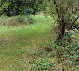 Schaugarten Eninger Weide