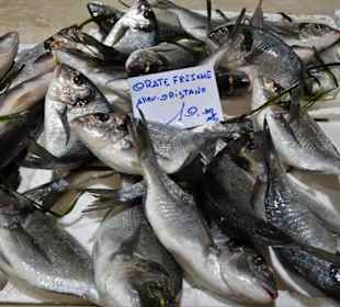 Rundgang durch den Mercato Civico di San Benedetto