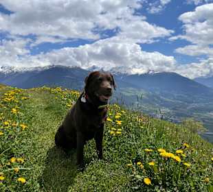 Wandern Malles Venosta / Mals