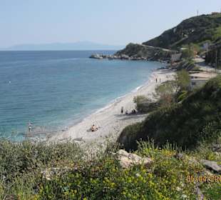 Die erste Schwimmern sind erschienen