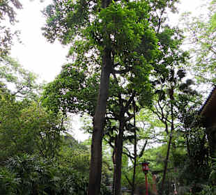 Park wokół Sun Yat-sen Memorial Hall