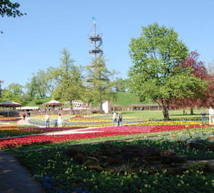 Turm, Blüten, Erholung