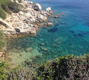 Bucht von Capo Testa la flora
