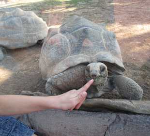 Aquarium / Oceanongrafic