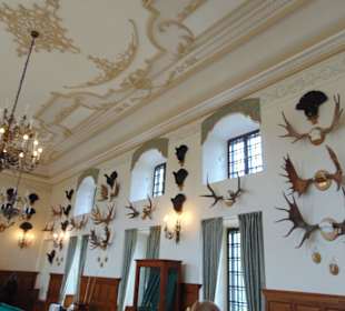 Зал охотничьих трофеев