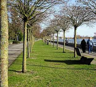 Im März an der Vegesacker Weserpromenade