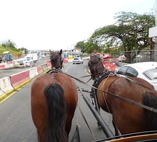 Mit der Kutsche durch Fort de France