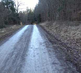 Ochsenweiher Rundweg