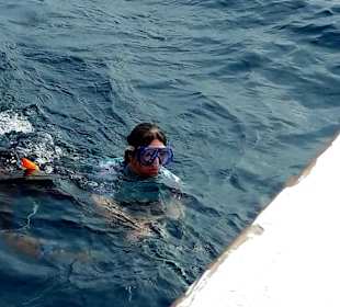 Delfinausflug mit Mo 