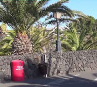 Fundacion Cesar Manrique